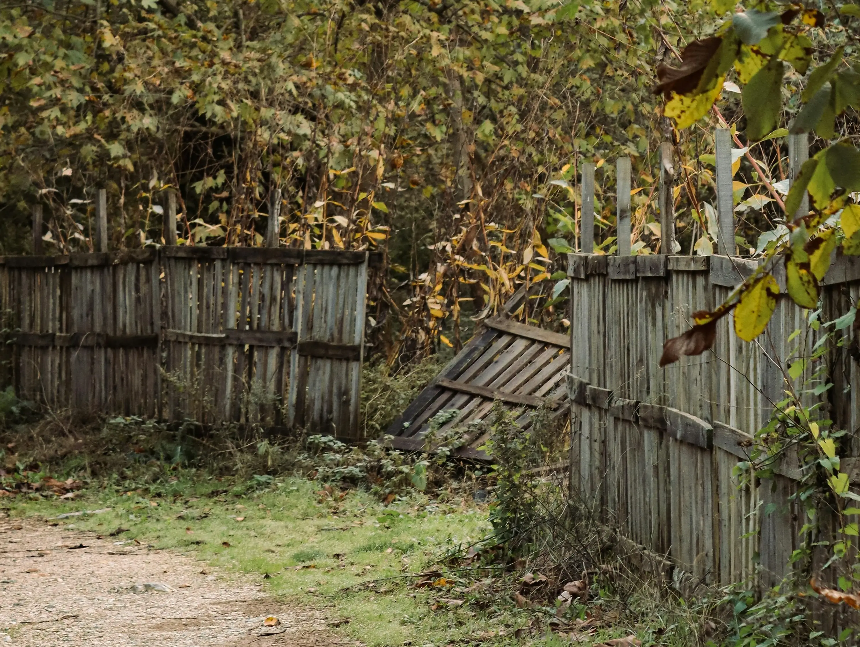 Broken fence in need of repair