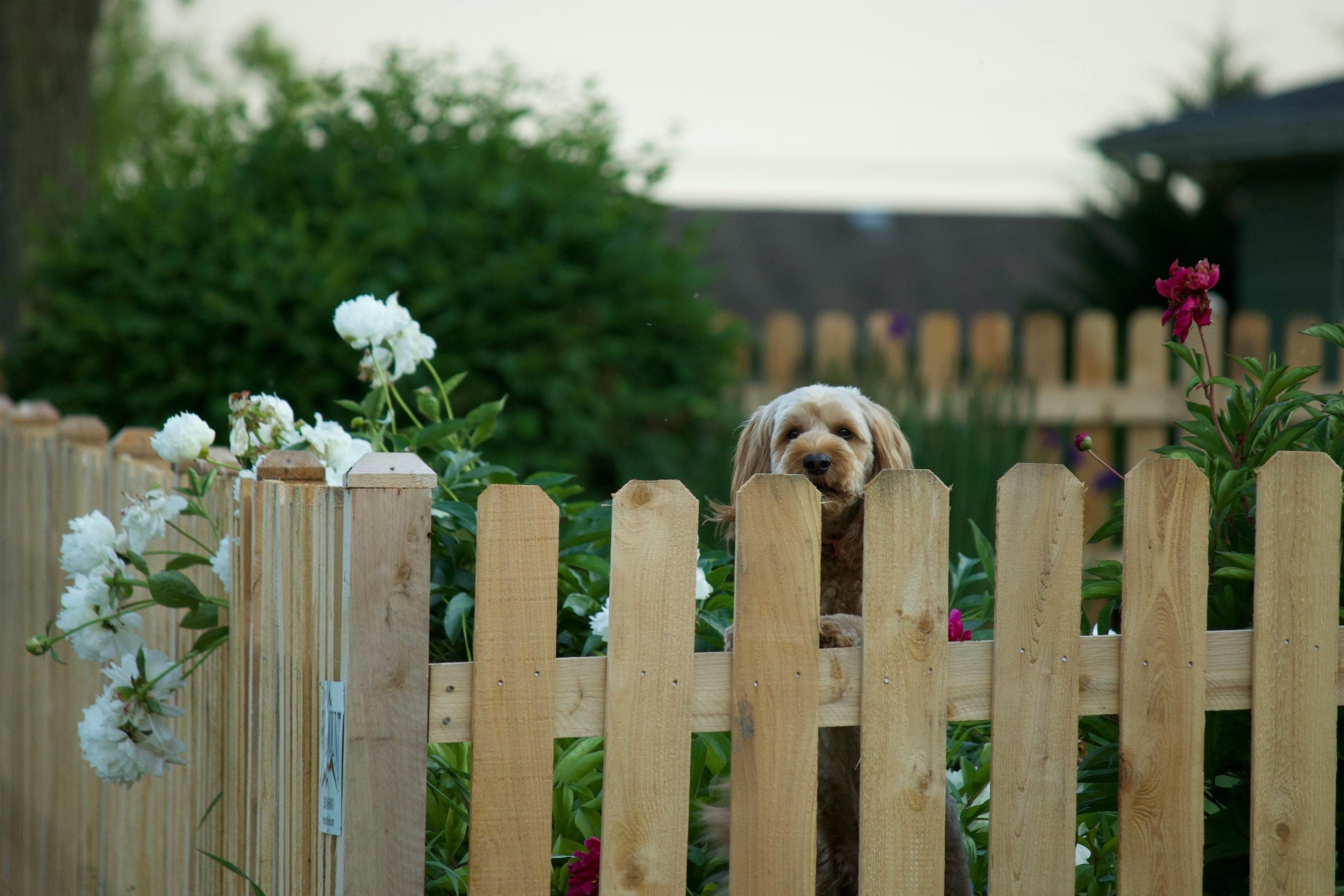 Fence installation cost guide